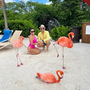 Bavaro Suites Pool Ducassi-sol Caribe Apartment Punta Cana